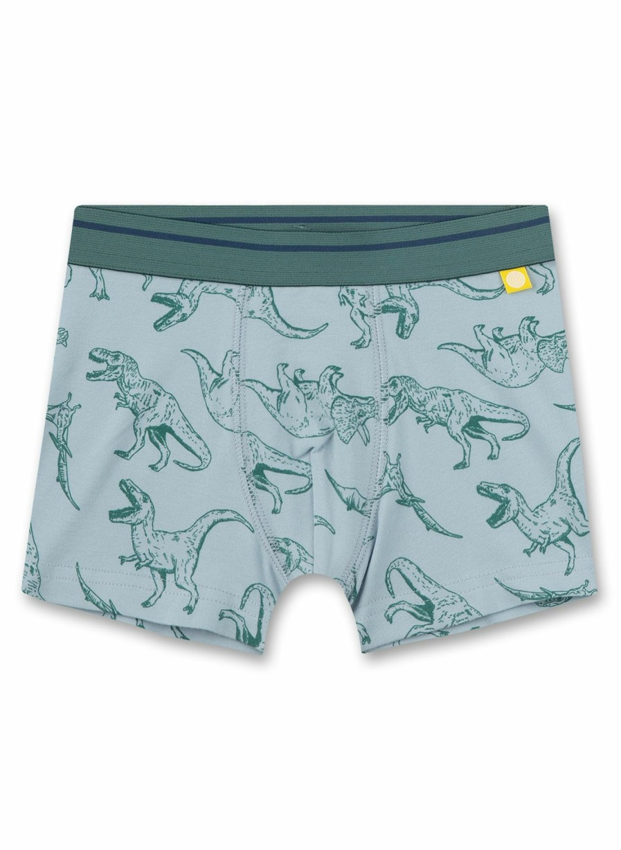 Jungs 3-14 Sanetta Shorts | Jungen-Hipshorts Hellblau